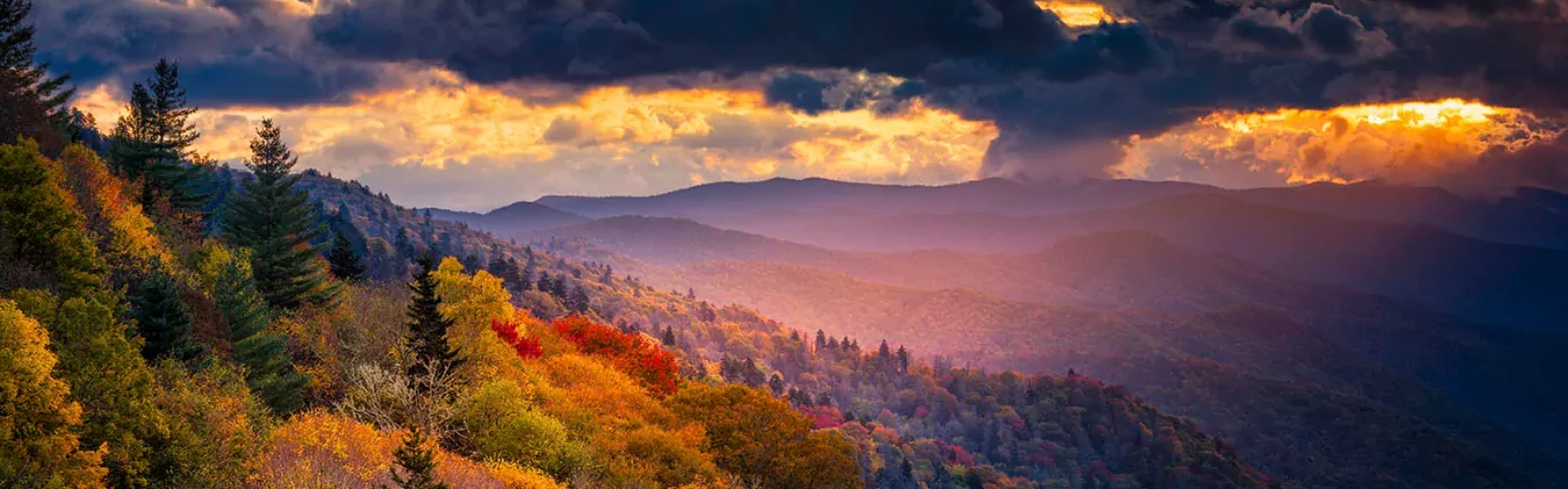 Unique Souvenirs to Bring Home from the Smokies