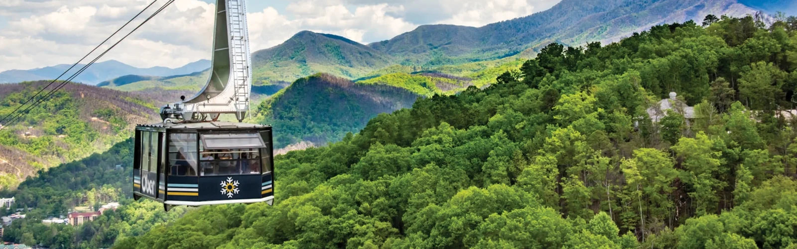 What to Do in Gatlinburg if You Hate Tourist Traps?