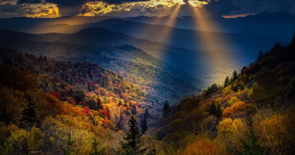 What to Do in Gatlinburg if You Hate Tourist Traps?