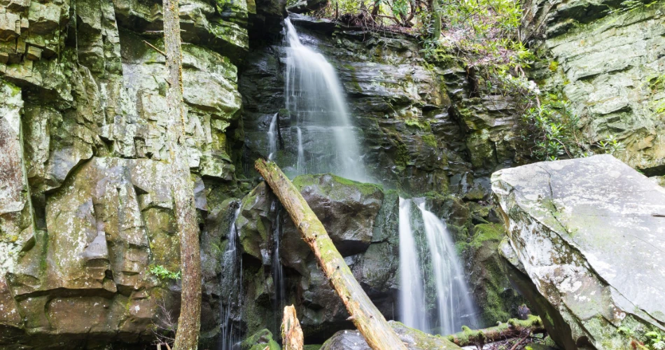 What to Do in Gatlinburg if You Hate Tourist Traps?