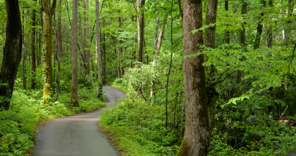 Haunted Trails and Local Lore in Gatlinburg