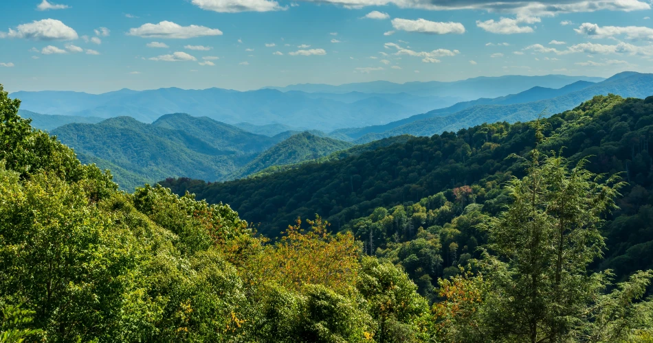 Haunted Trails and Local Lore in Gatlinburg