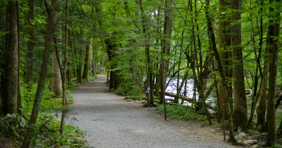Best Smoky Mountain Trails for Beginners in Gatlinburg