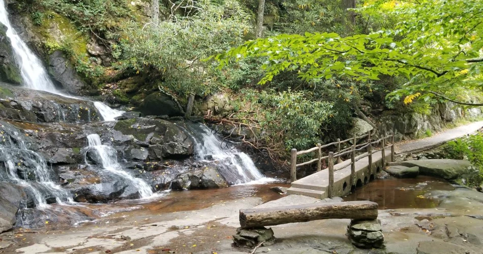 Best Smoky Mountain Trails for Beginners in Gatlinburg