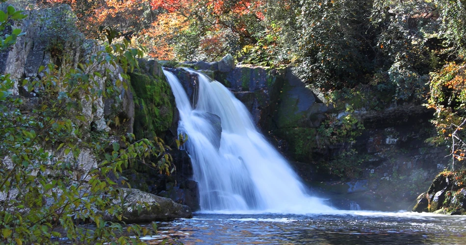 Best Smoky Mountain Trails for Beginners in Gatlinburg