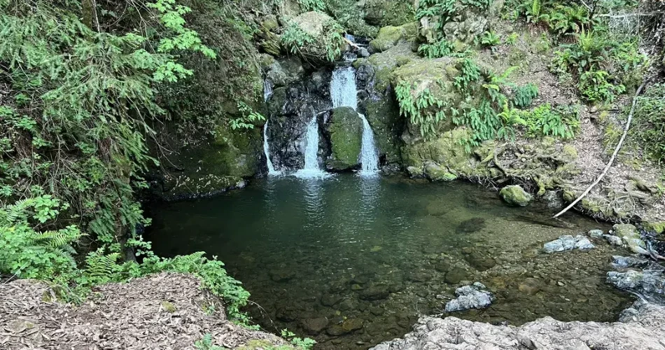 Best Smoky Mountain Trails for Beginners in Gatlinburg