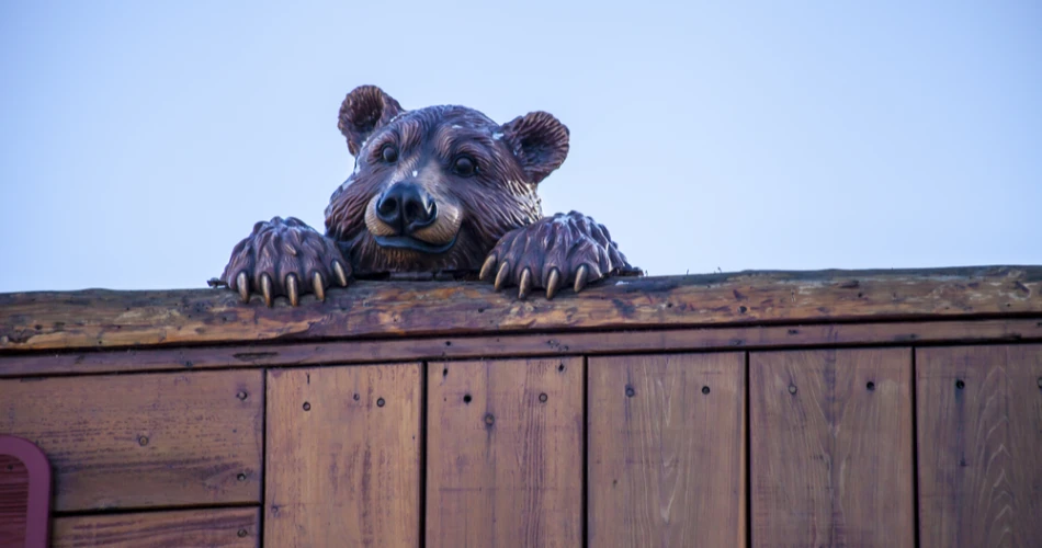 Unique Souvenirs to Bring Home from the Smokies