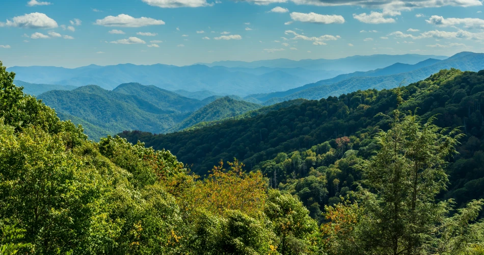 Day Trip from Gatlinburg: Exploring Cades Cove and Beyond