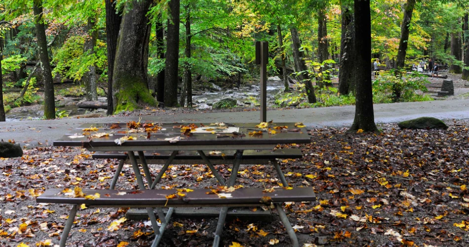 Day Trip from Gatlinburg: Exploring Cades Cove and Beyond