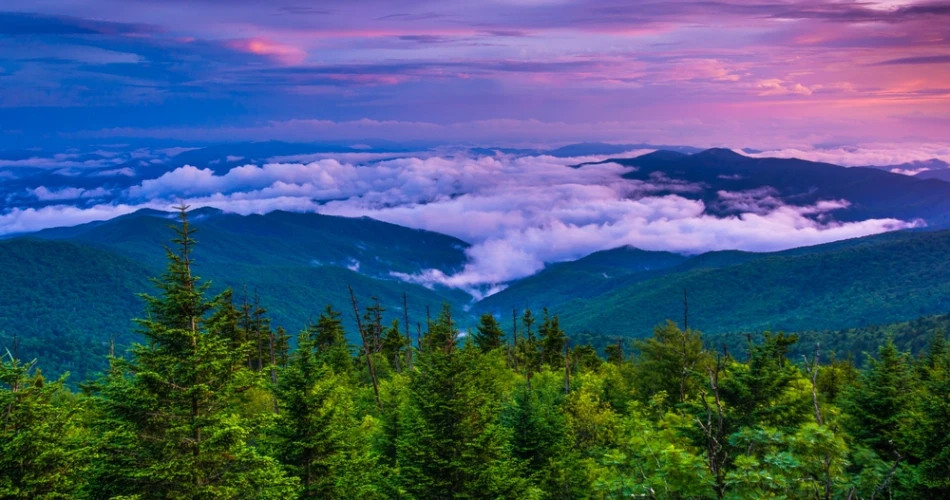 Day Trip from Gatlinburg: Exploring Cades Cove and Beyond