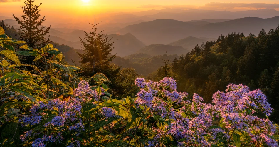 您在盖特林堡周末度假的行程安排