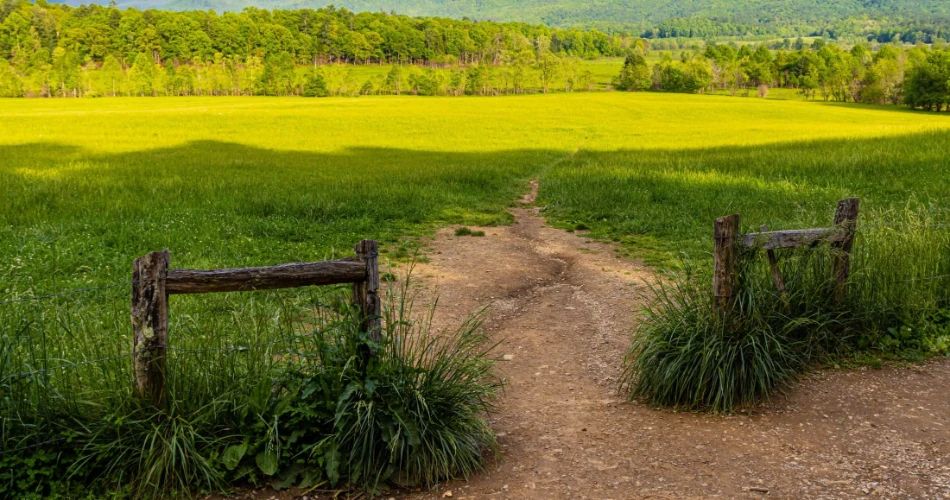 您在盖特林堡周末度假的行程安排
